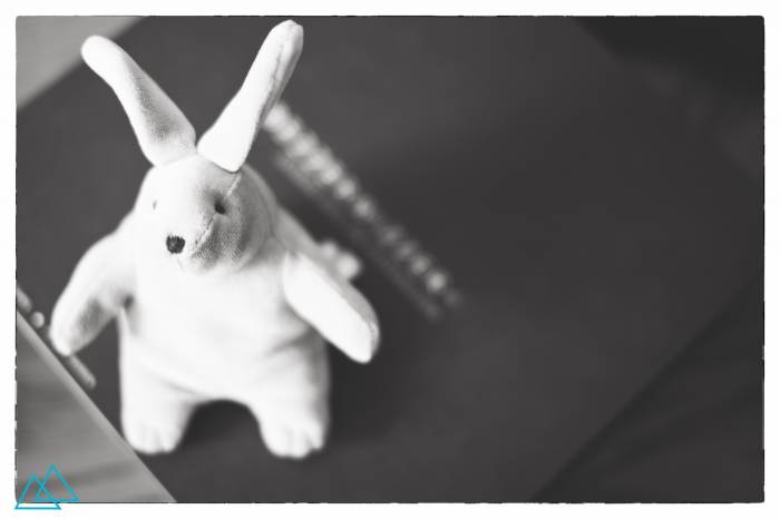 b2ap3_thumbnail_day40rabbit.jpg b2ap3_thumbnail_day40rabbit.jpg