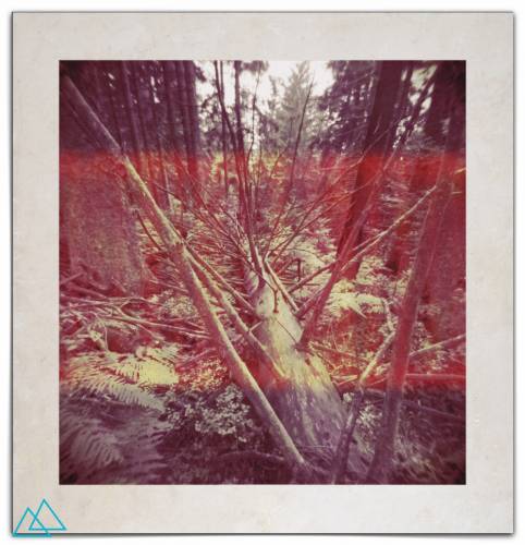 b2ap3_thumbnail_day42forest.jpg b2ap3_thumbnail_day42forest.jpg