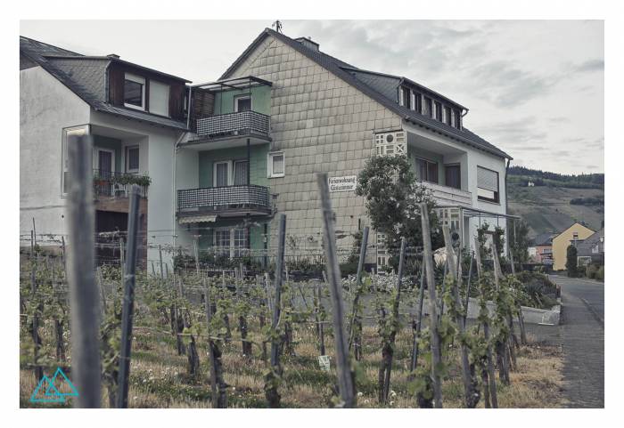 b2ap3_thumbnail_day49.jpg b2ap3_thumbnail_day49.jpg